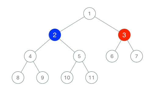 Cây nhị phân trong C++ là gì?