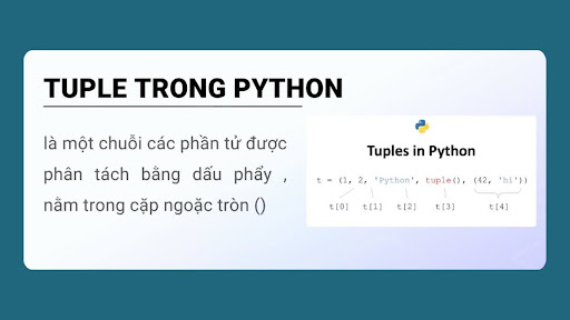 Tuple trong Python là gì?