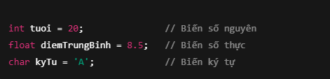  Ví dụ minh họa biến trong C++